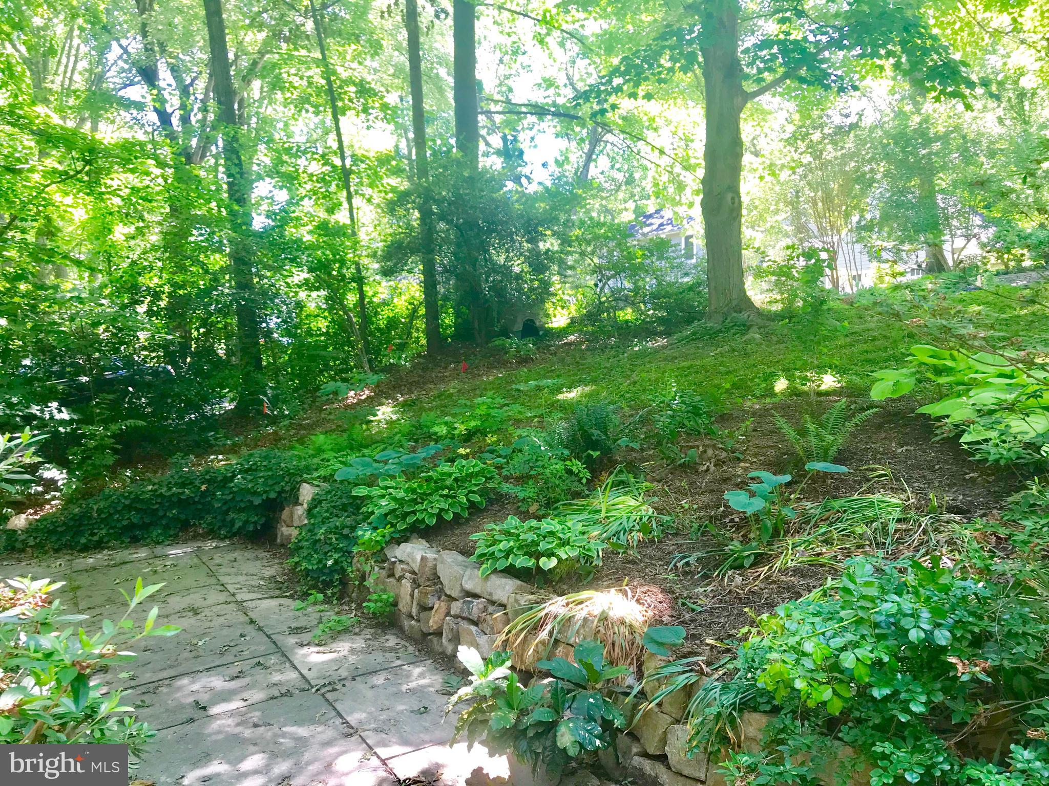 1941 Barton Hill Road Reston, VA 20191 - Photo 4 of 38 Slate patio in front w/low-maintenance landscaping