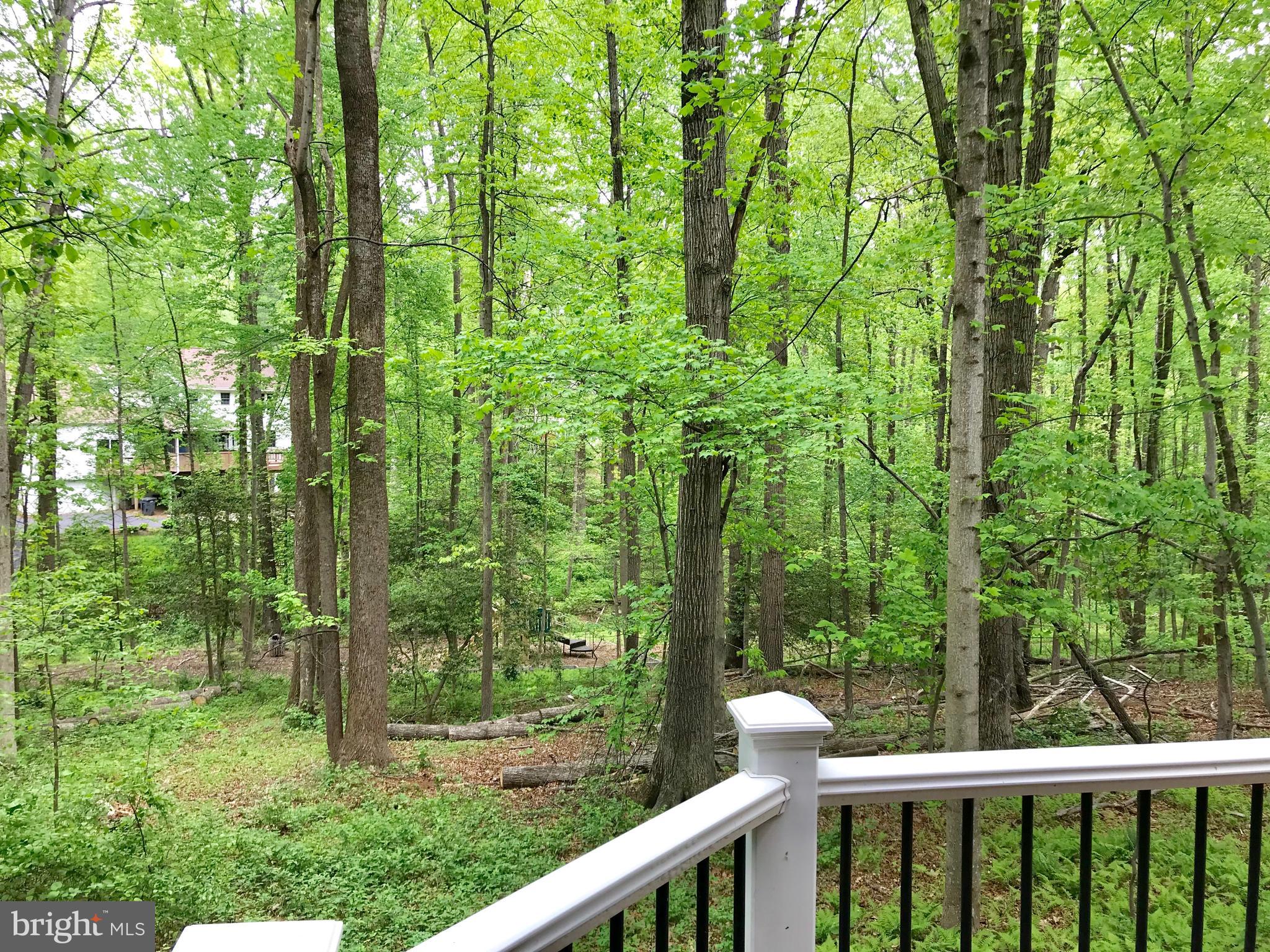 1941 Barton Hill Road Reston, VA 20191 - Photo 34 of 38 Playground and bike path beyond trees.