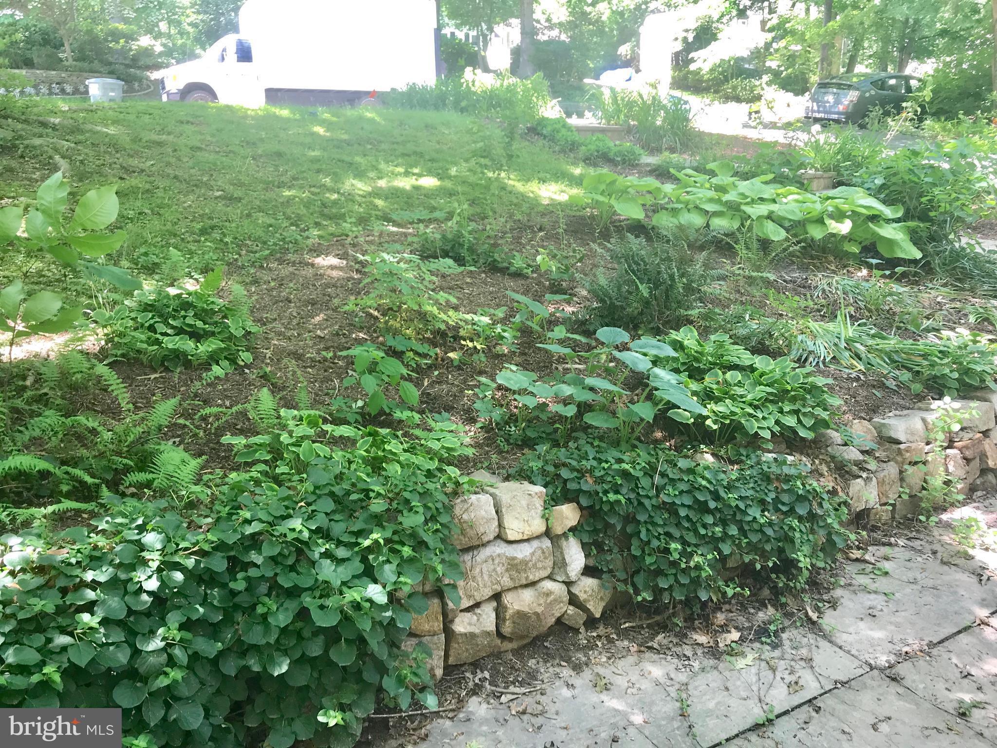 1941 Barton Hill Road Reston, VA 20191 - Photo 5 of 38 Mature, low maintenance front patio