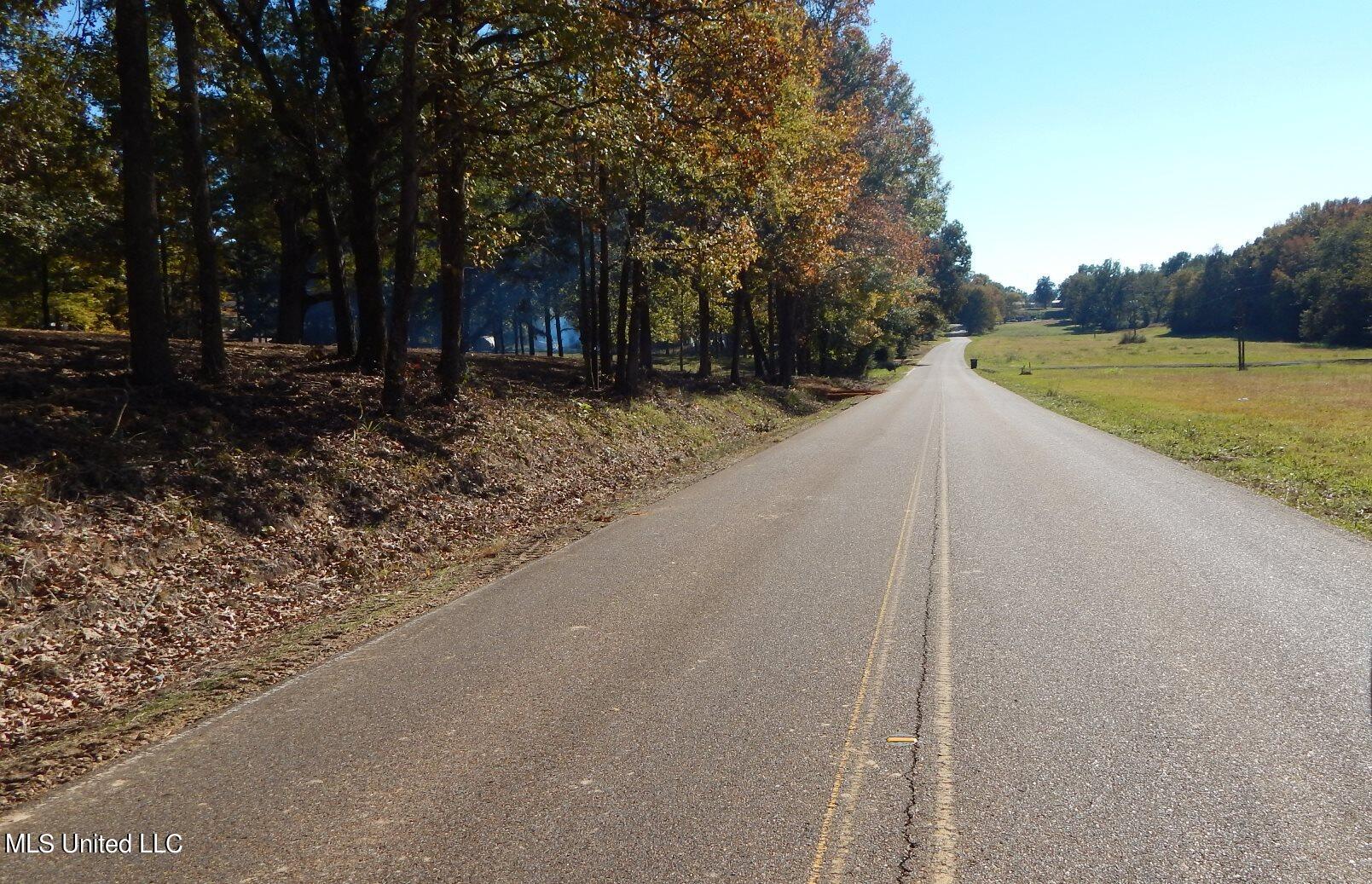 300 Arkabutla Dam Road Coldwater, MS 38618 - Photo 17 of 28 1a Arkabutla Dam Rd 052