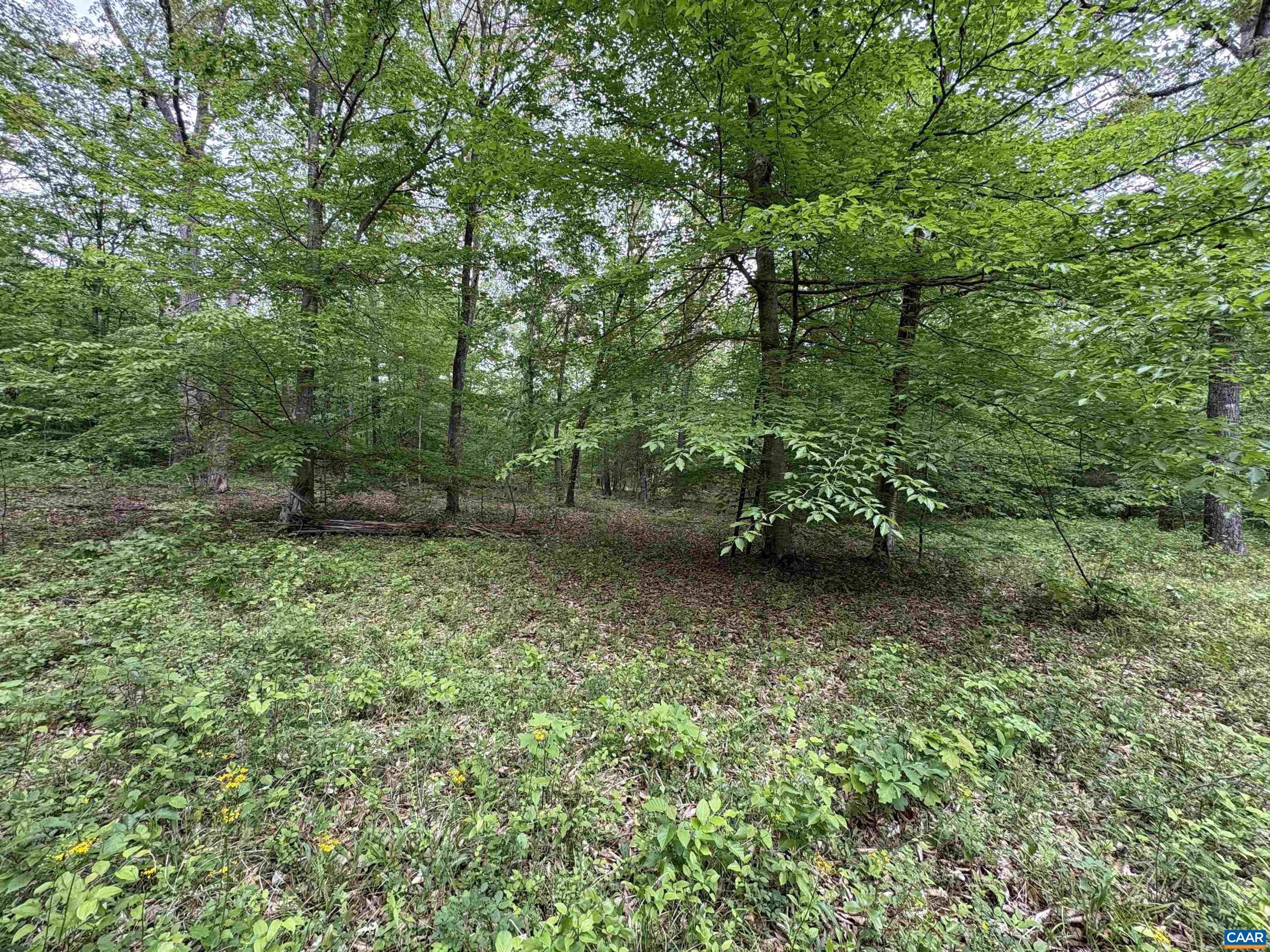 0 Keys Church Road Shipman, VA 22971 - Photo 15 of 24 Gallery Image 15