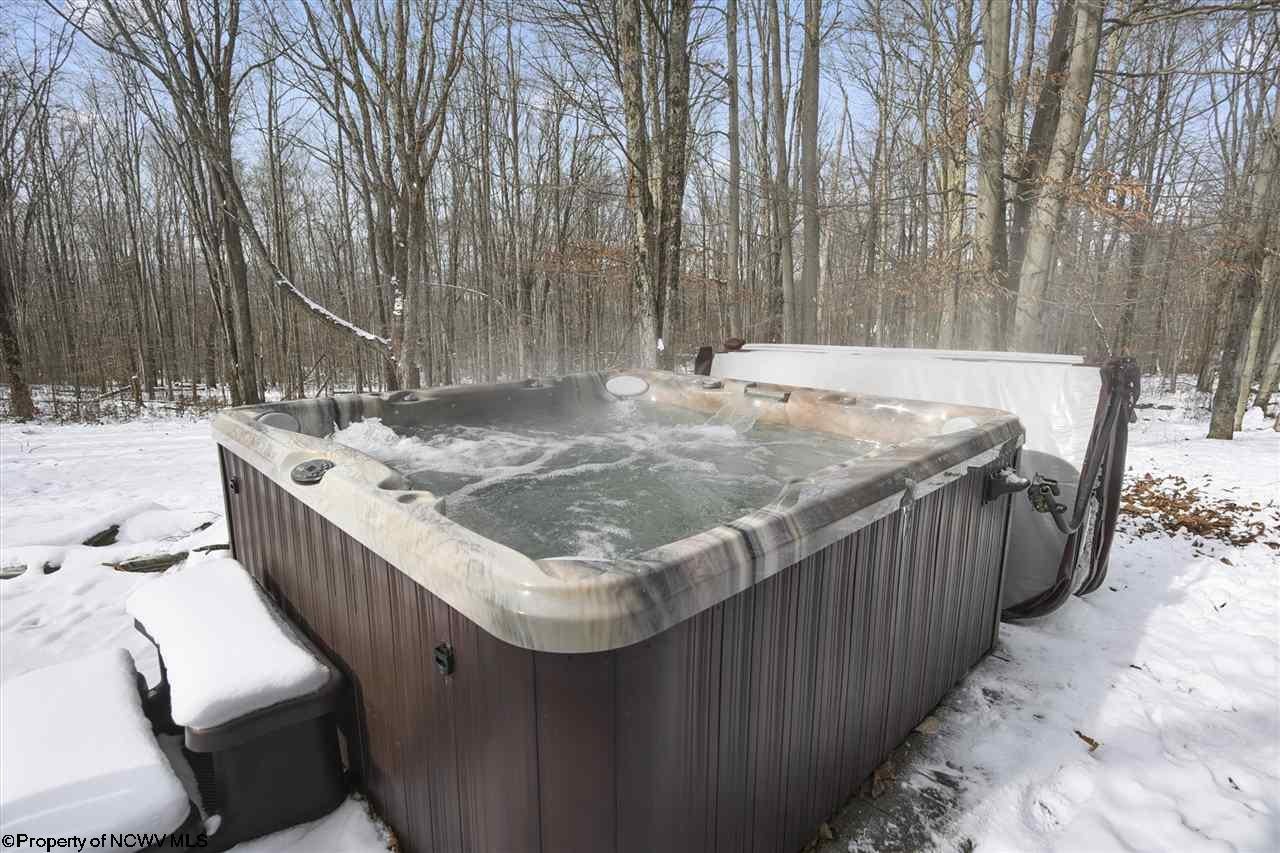 175 Cabin Mountain Road Davis, WV 26260 - Photo 23 of 30 Gallery Image 23
