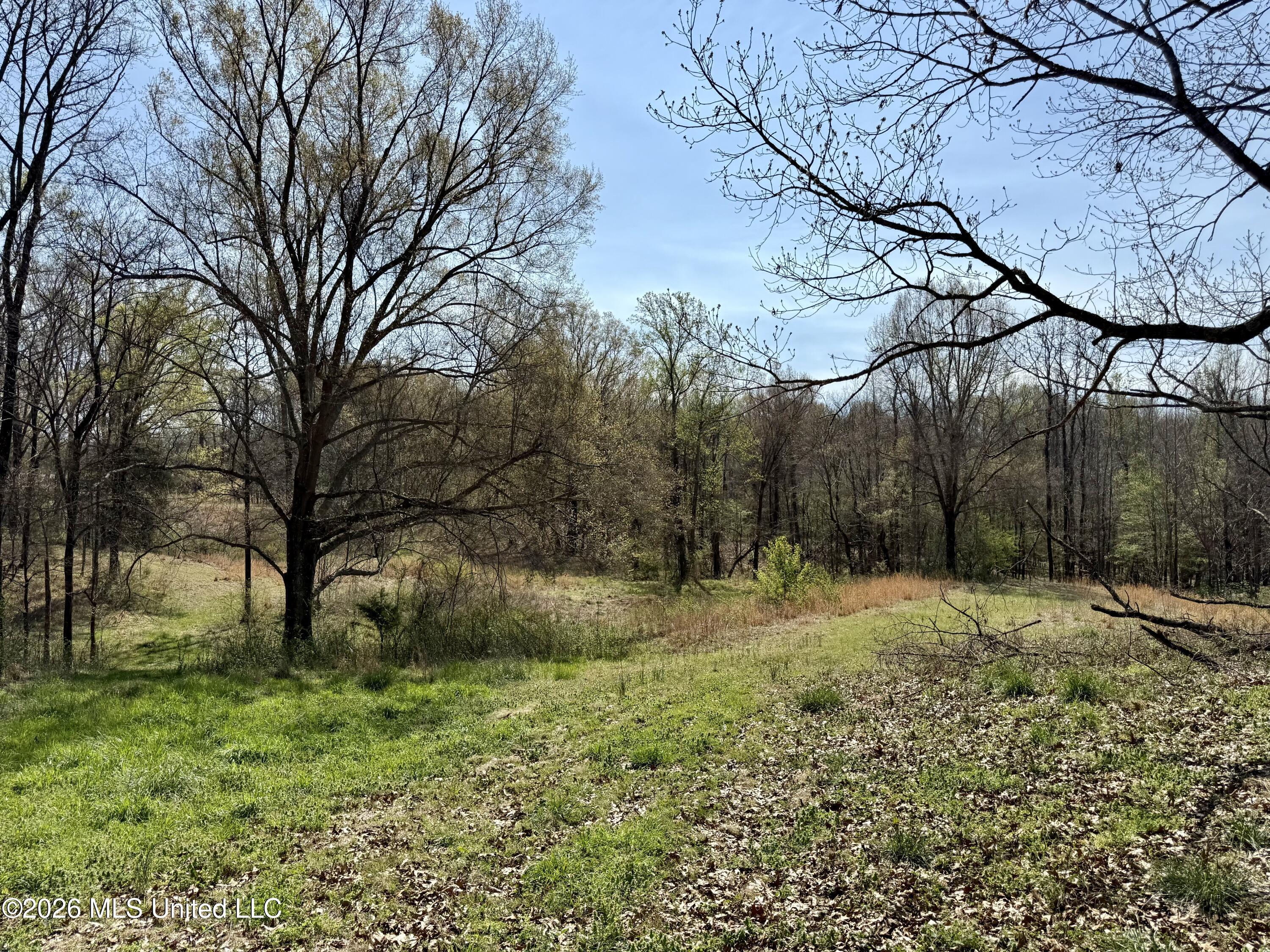 14211 Browns Ferry Road Sarah, MS 38665 - Photo 11 of 21 Photo Mar 26 2026, 11 17 27 AM