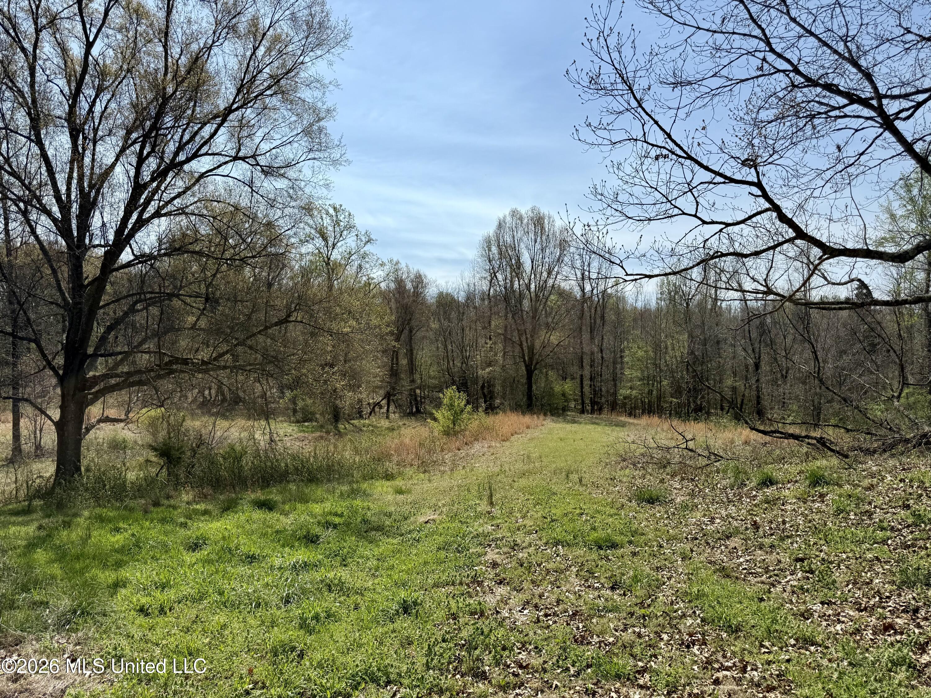 14211 Browns Ferry Road Sarah, MS 38665 - Photo 12 of 21 Photo Mar 26 2026, 11 17 36 AM