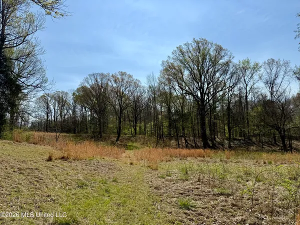 $420,000 | 14211 Browns Ferry Road, Sarah, MS 38665