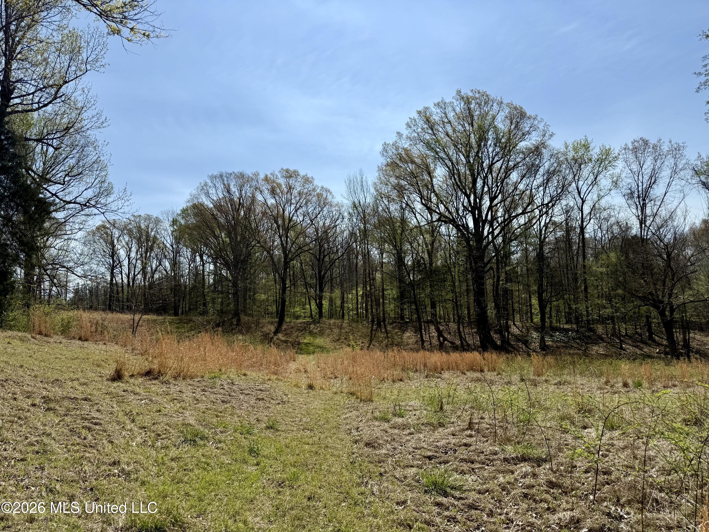 14211 Browns Ferry Road Sarah, MS 38665 - Photo 13 of 21 Photo Mar 26 2026, 11 18 24 AM
