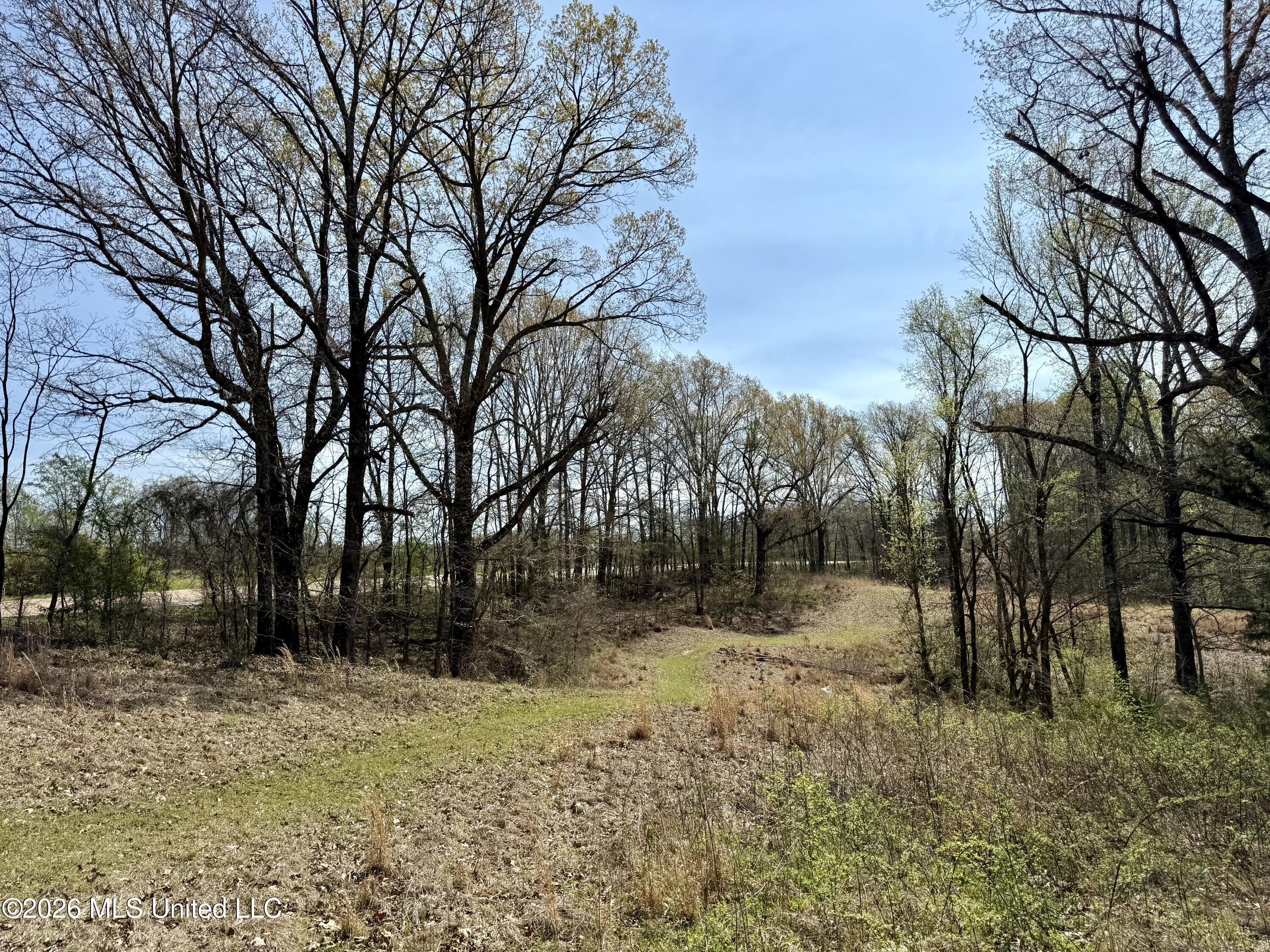 14211 Browns Ferry Road Sarah, MS 38665 - Photo 14 of 21 Photo Mar 26 2026, 11 19 20 AM