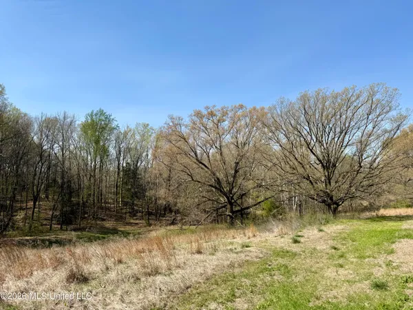 $420,000 | 14211 Browns Ferry Road, Sarah, MS 38665
