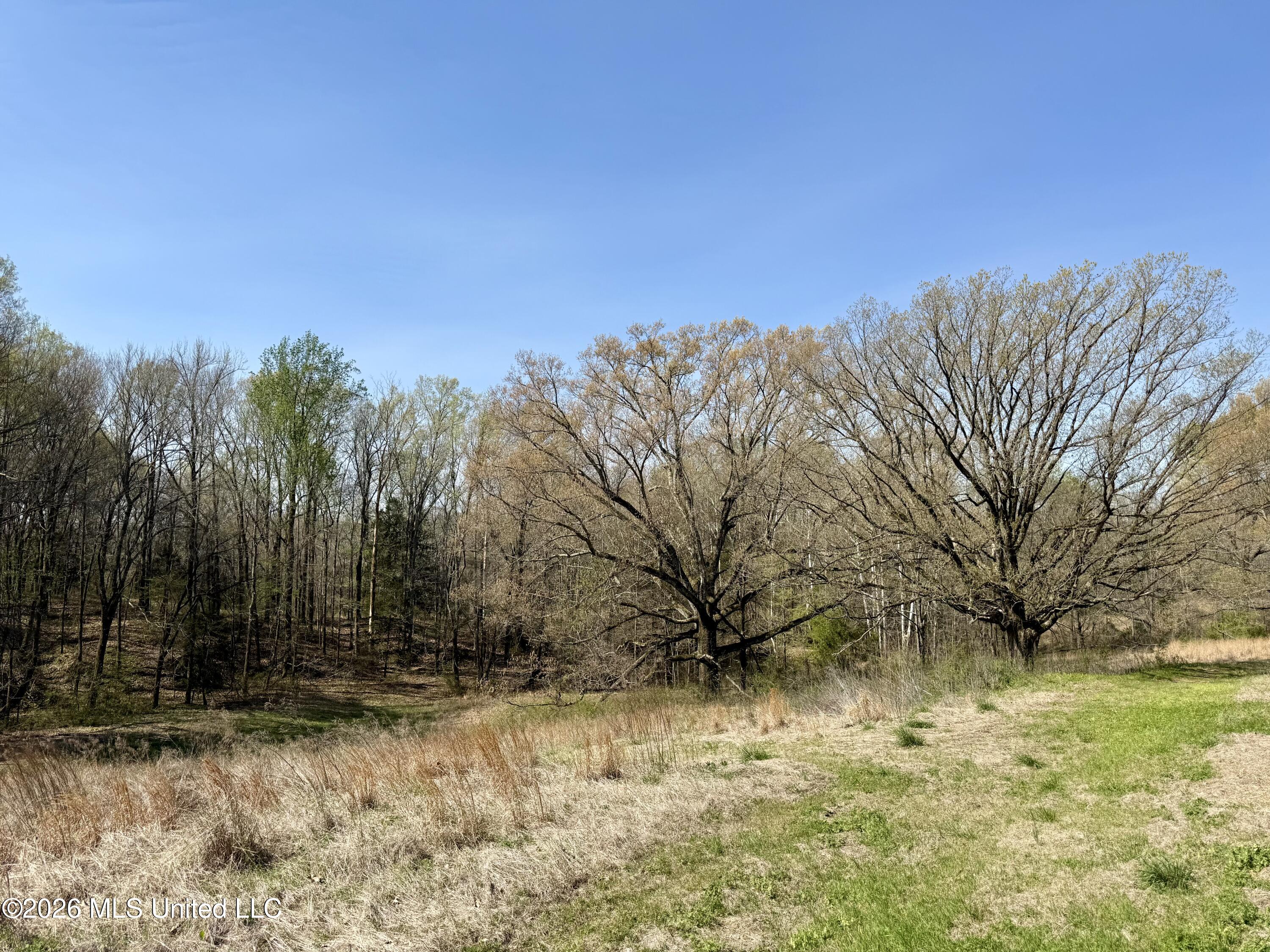 14211 Browns Ferry Road Sarah, MS 38665 - Photo 4 of 21 Photo Mar 26 2026, 10 59 48 AM