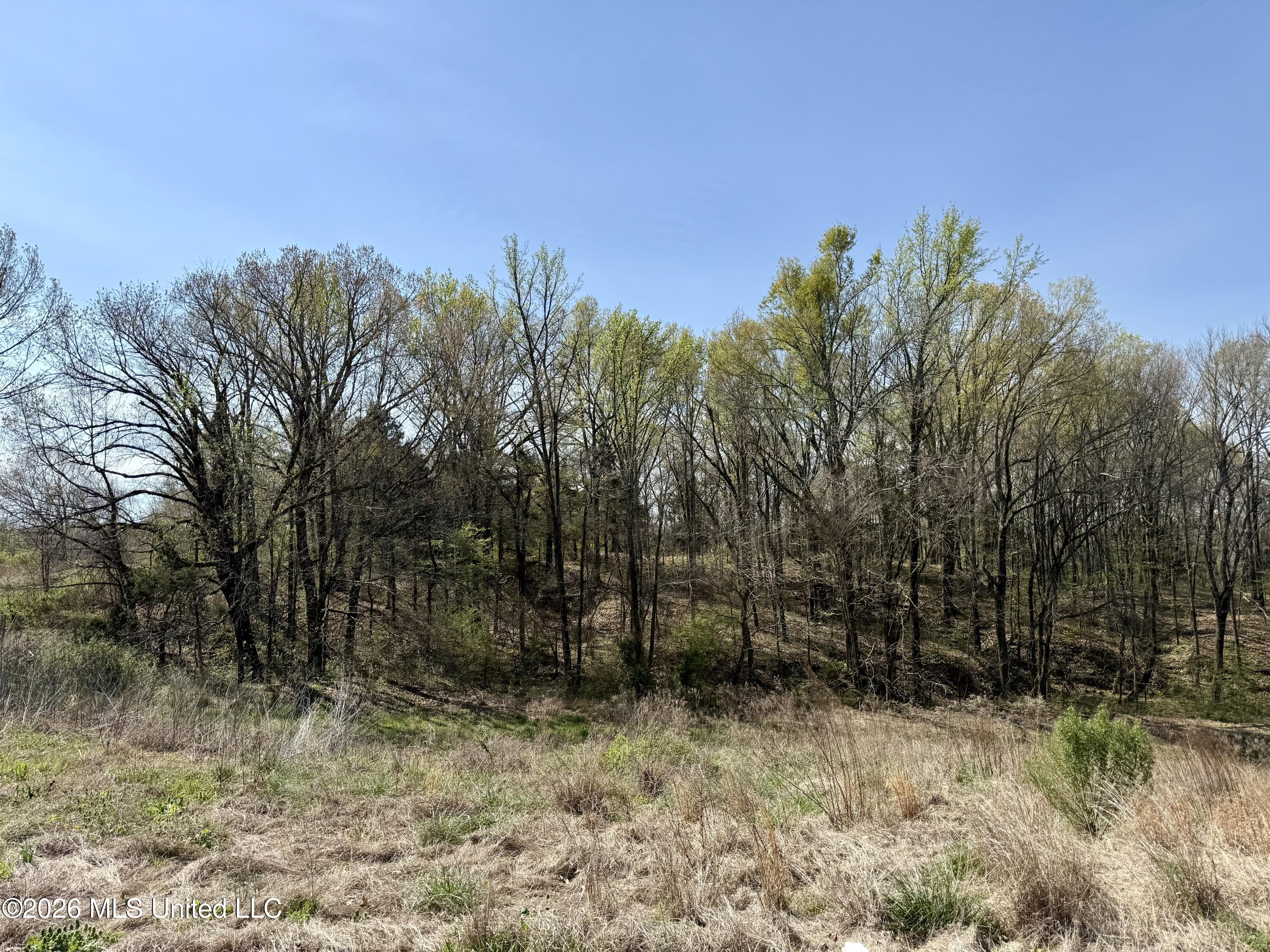 14211 Browns Ferry Road Sarah, MS 38665 - Photo 5 of 21 Photo Mar 26 2026, 10 59 51 AM