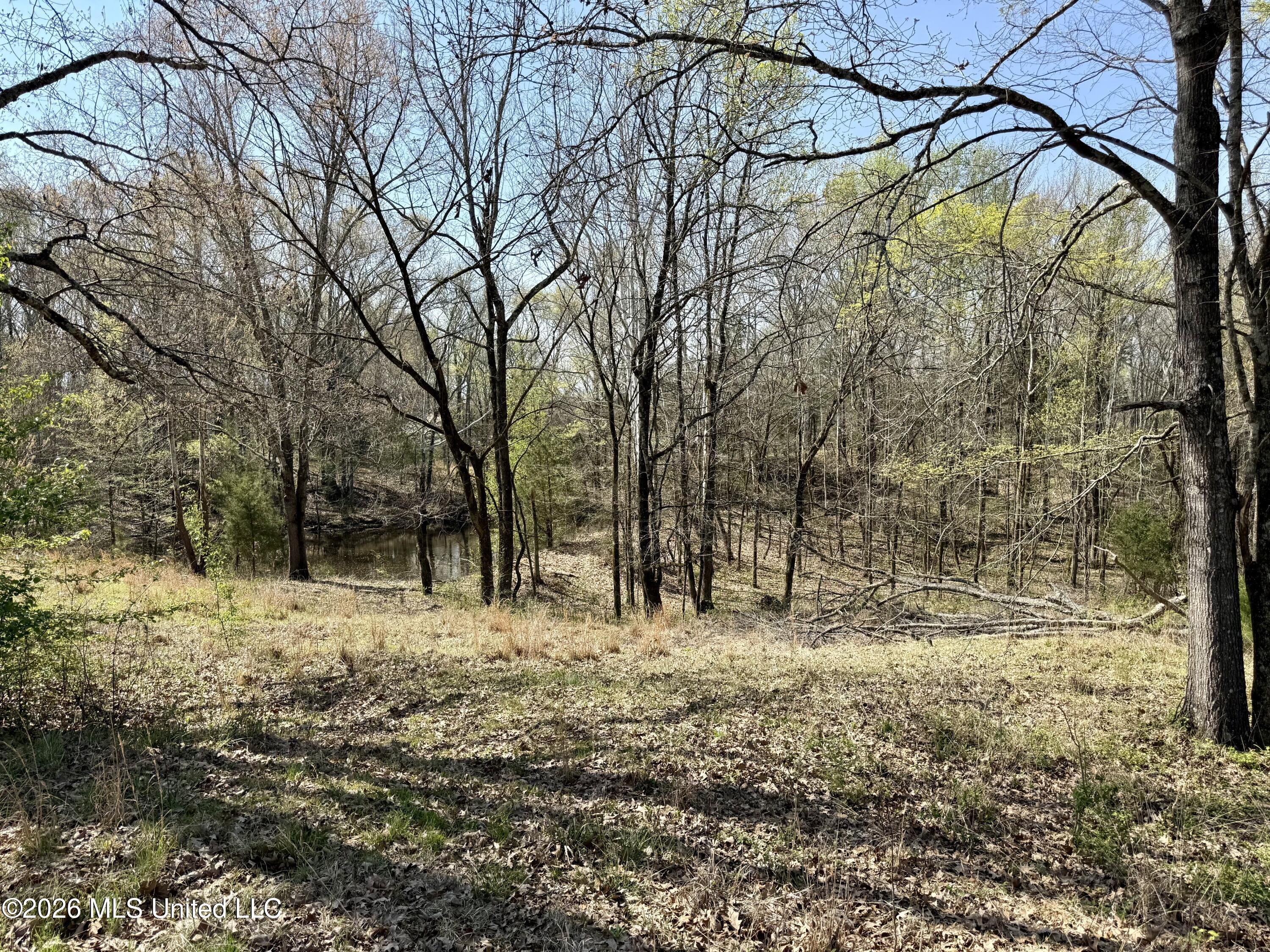 14211 Browns Ferry Road Sarah, MS 38665 - Photo 6 of 21 Photo Mar 26 2026, 11 01 22 AM