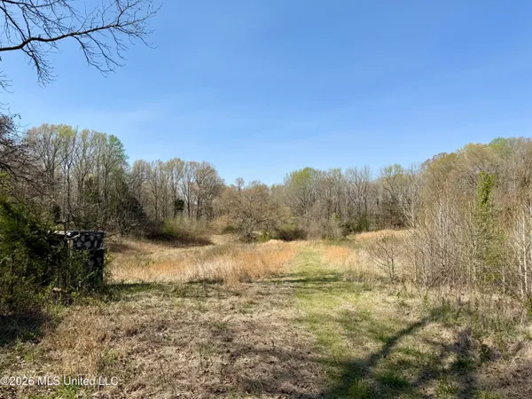 $420,000 | 14211 Browns Ferry Road, Sarah, MS 38665
