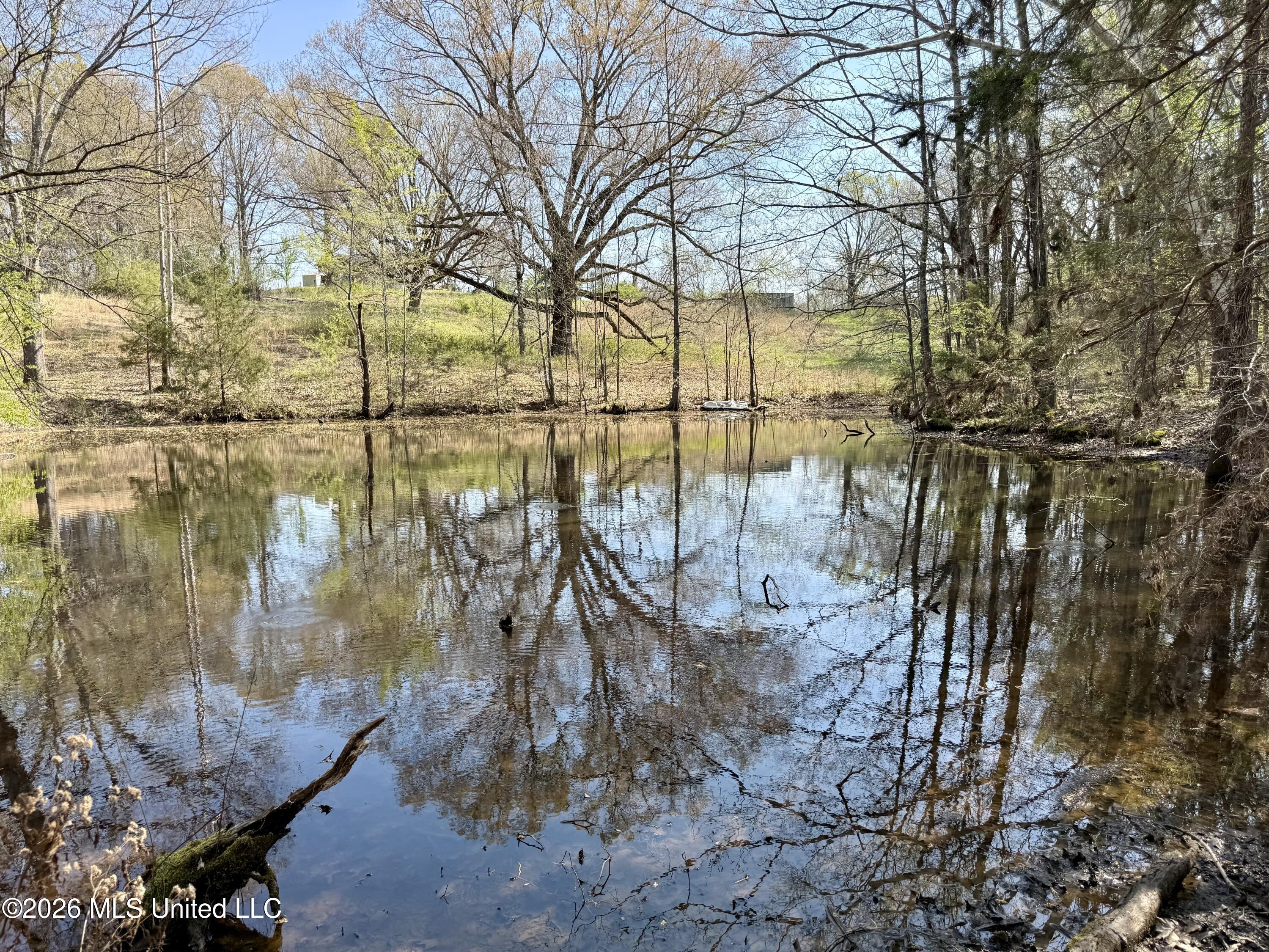 14211 Browns Ferry Road Sarah, MS 38665 - Photo 8 of 21 Photo Mar 26 2026, 11 05 11 AM