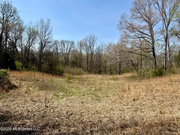 $420,000 | 14211 Browns Ferry Road, Sarah, MS 38665