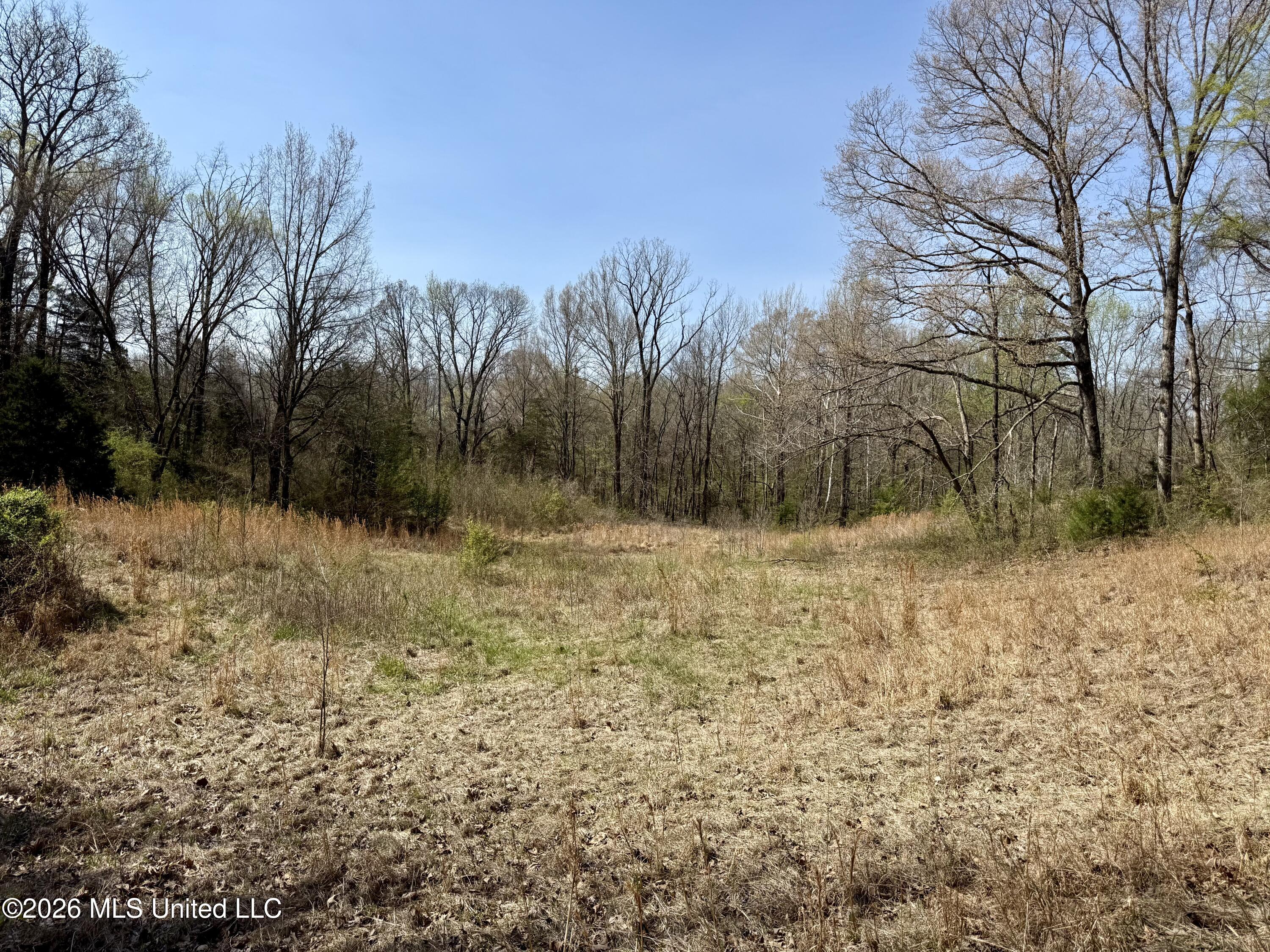 14211 Browns Ferry Road Sarah, MS 38665 - Photo 9 of 21 Photo Mar 26 2026, 11 06 54 AM
