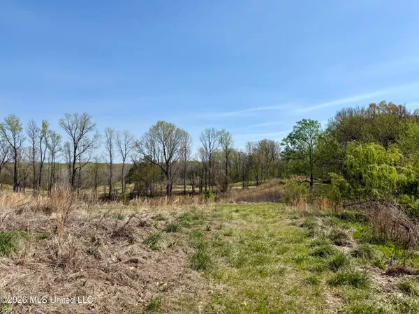 $420,000 | 14211 Browns Ferry Road, Sarah, MS 38665