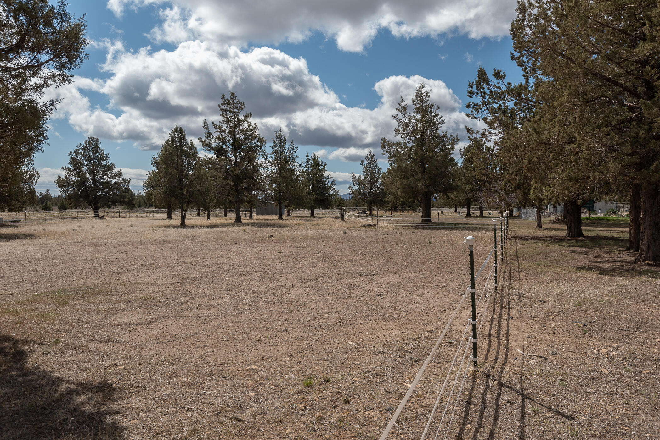 14638 Southwest Chickadee Road Terrebonne, OR 97760 - Photo 5 of 48 4 Pasture