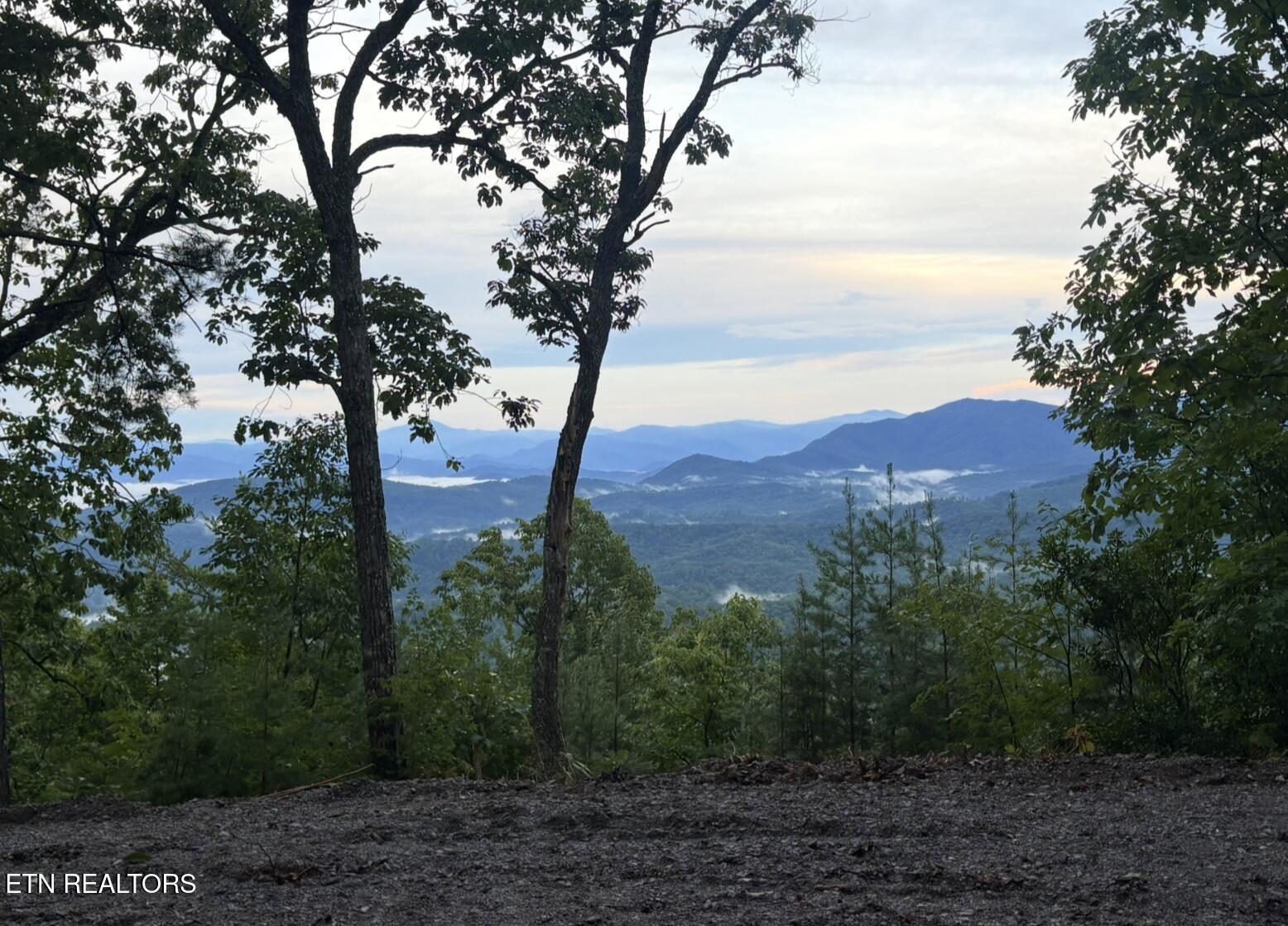45 Tower Road Tallassee, TN 37878 - Photo 10 of 20 View recent photos