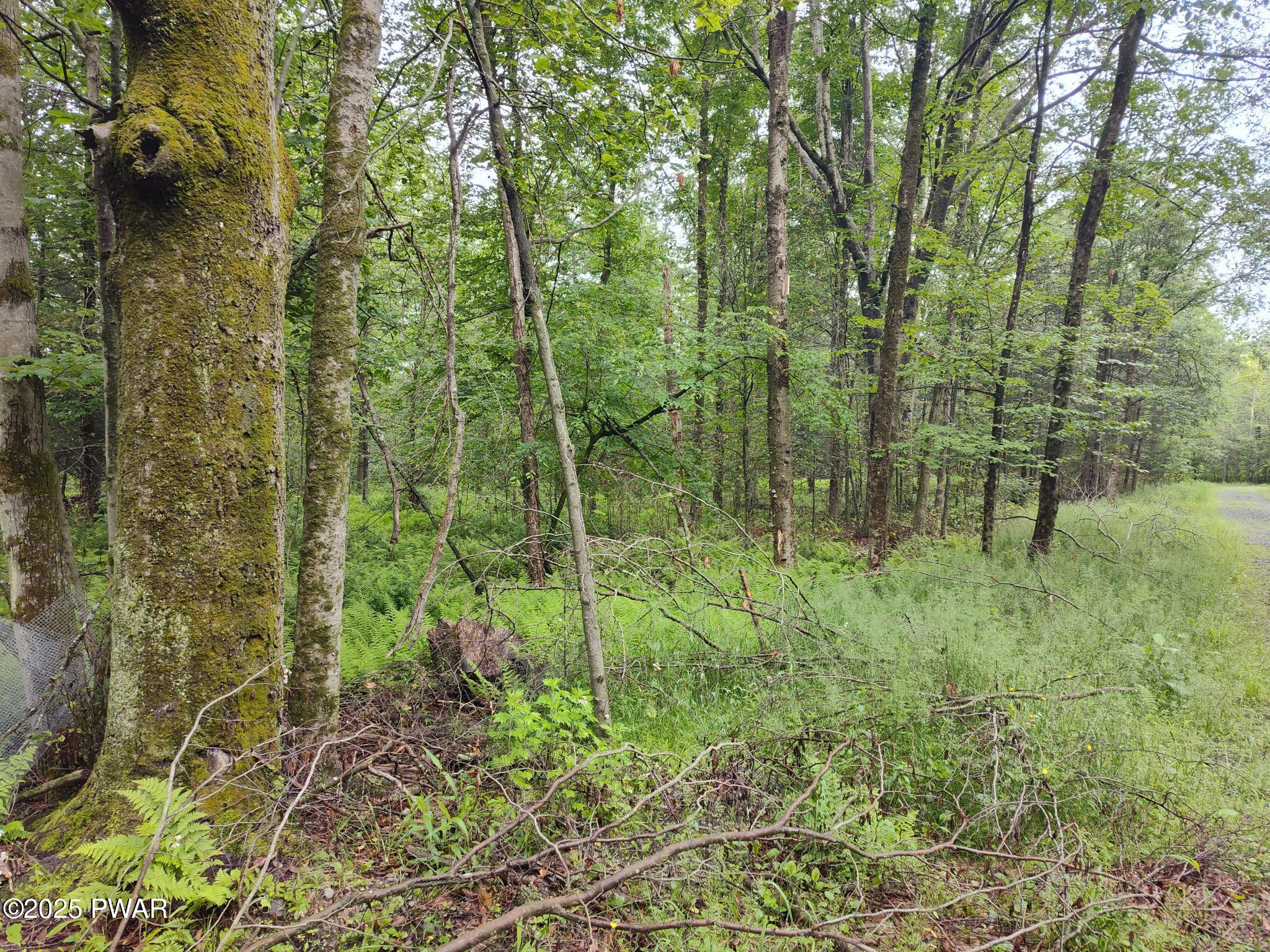 Lot 109 Aka) Gibralter Road Newfoundland, PA 18445 - Photo 14 of 19