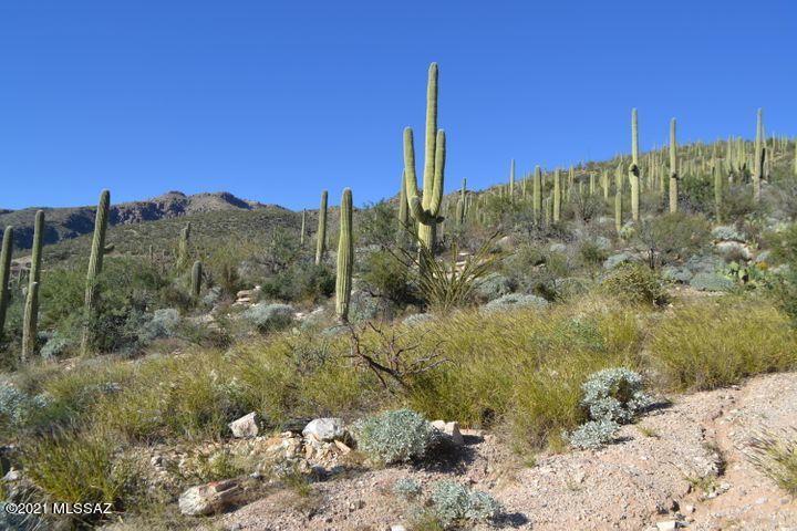 12265 East Coronado Road, Unit 46 Tucson, AZ 85749 - Photo 10 of 41