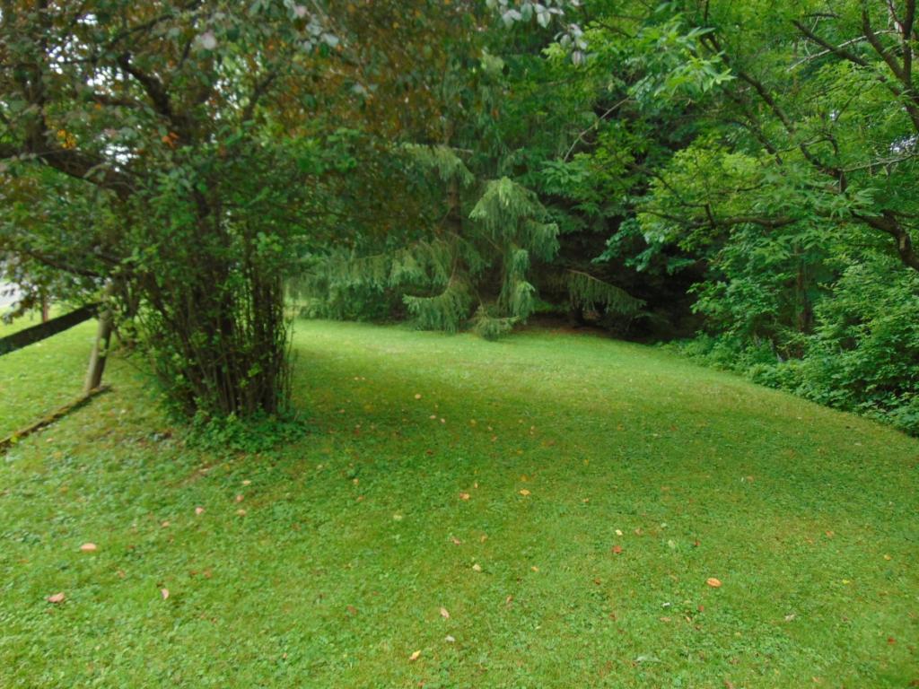 127 Halsey Valley Road Barton, NY 13734 - Photo 16 of 18 Gallery Image 16