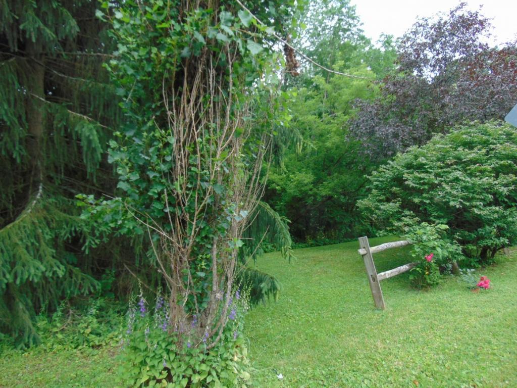 127 Halsey Valley Road Barton, NY 13734 - Photo 17 of 18 Gallery Image 17