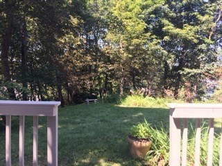 14 Park Place, Unit 14 Arlington, MA 02474 - Photo 18 of 20 a view of a yard with plants