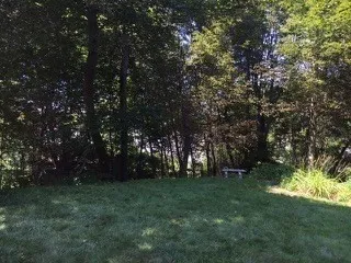 a view of yard with green space