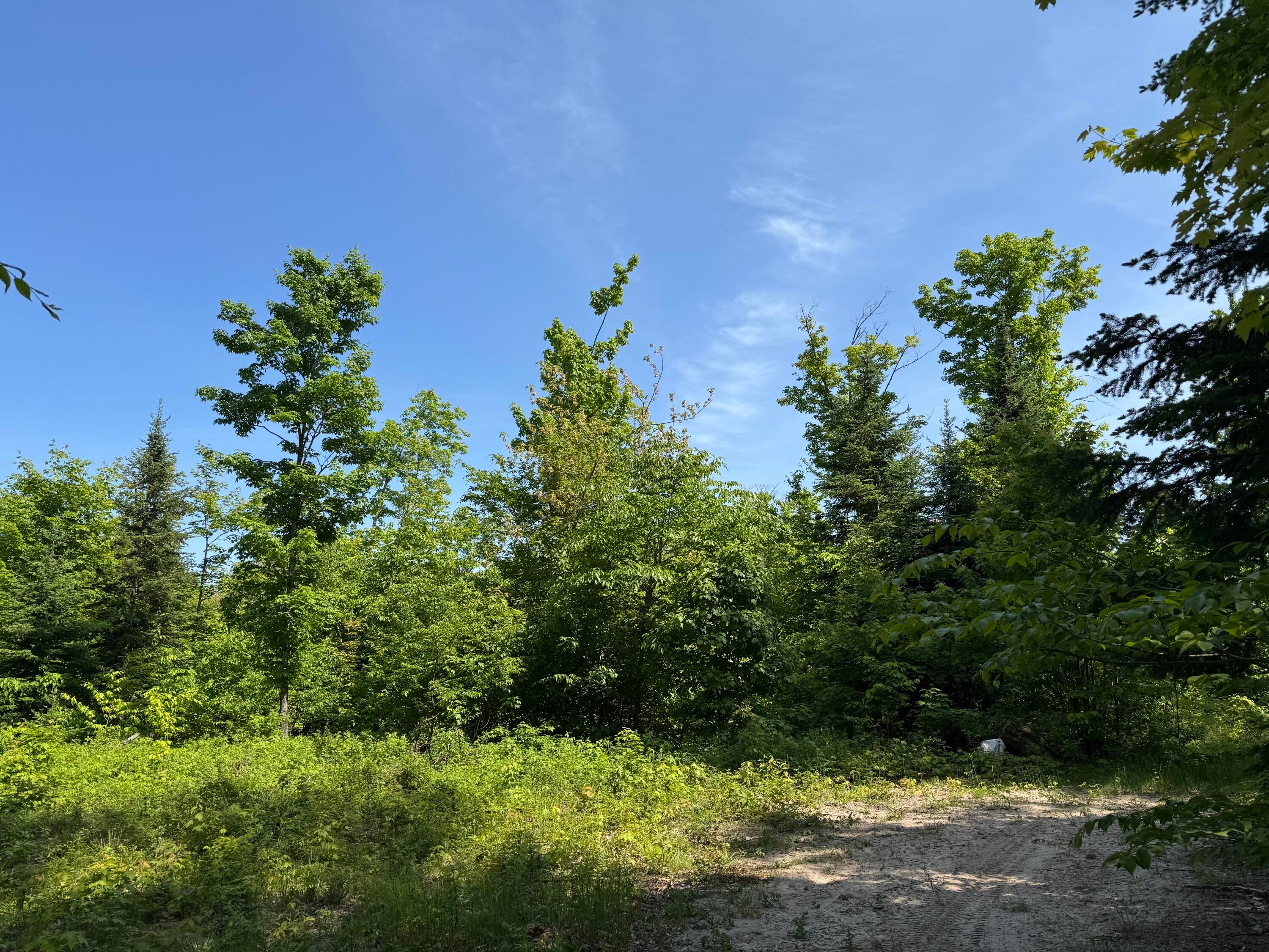 Tbd South Piatt Lake Road Eckerman, MI 49728 - Photo 1 of 22 Gallery Image 1