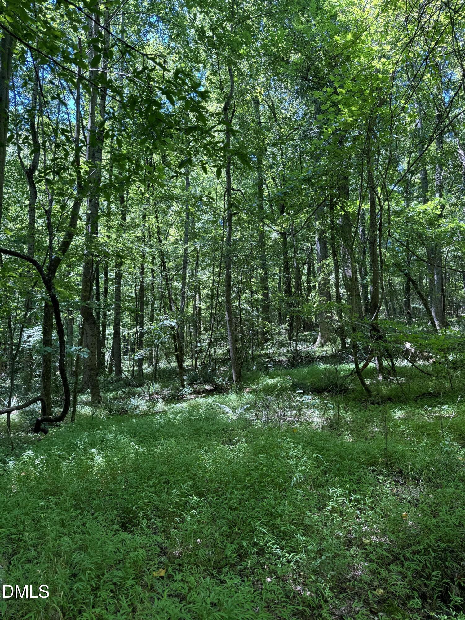 1820 Efland - Cedar Grove Road Efland, NC 27243 - Photo 3 of 5 a view of a grassy field with trees in the background