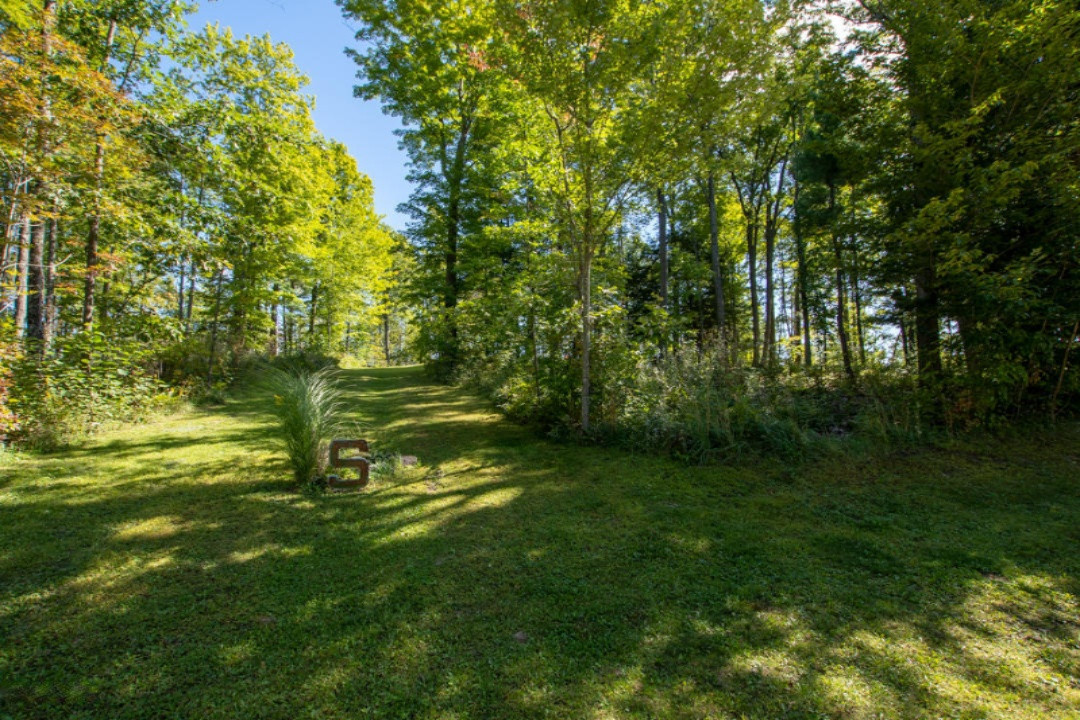 10051 Indian Lake Road Reed City, MI 49677 - Photo 87 of 95 lot