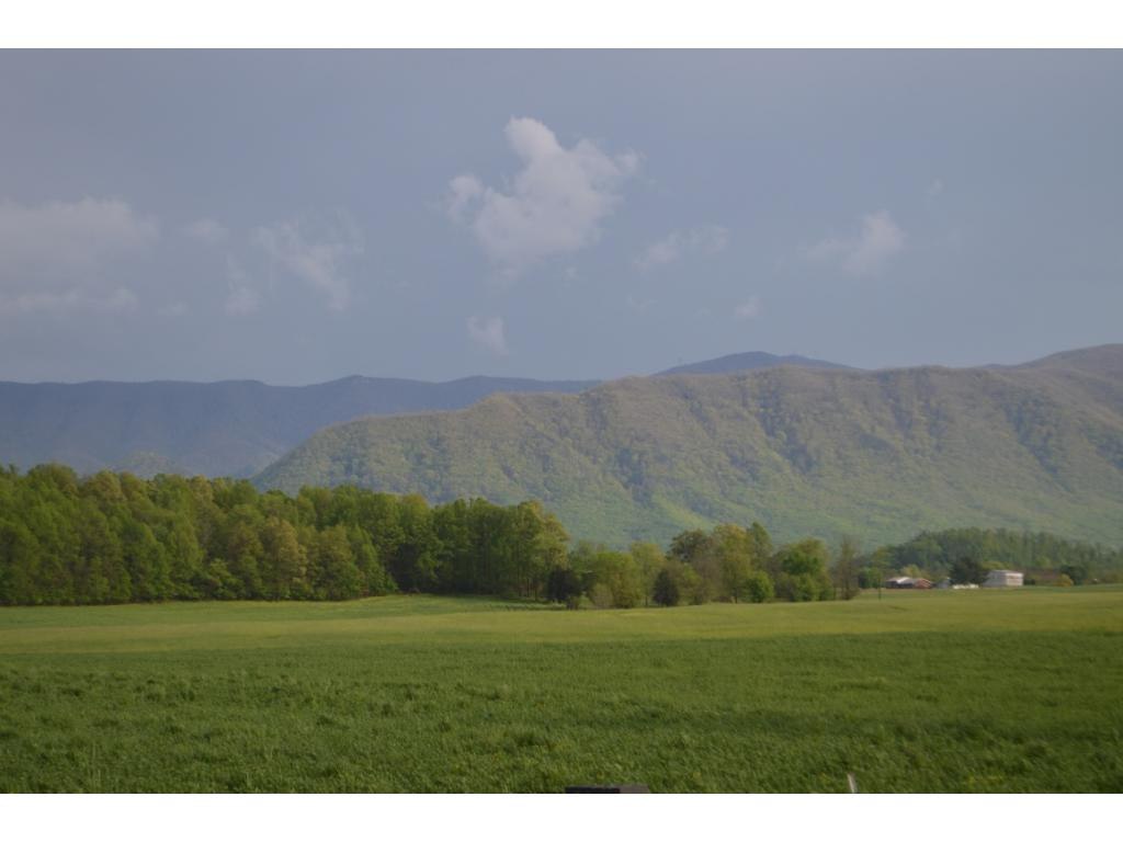 Lot #17 Sentelle Road, Unit 17 Greeneville, TN 37743 - Photo 1 of 3 Photo 1