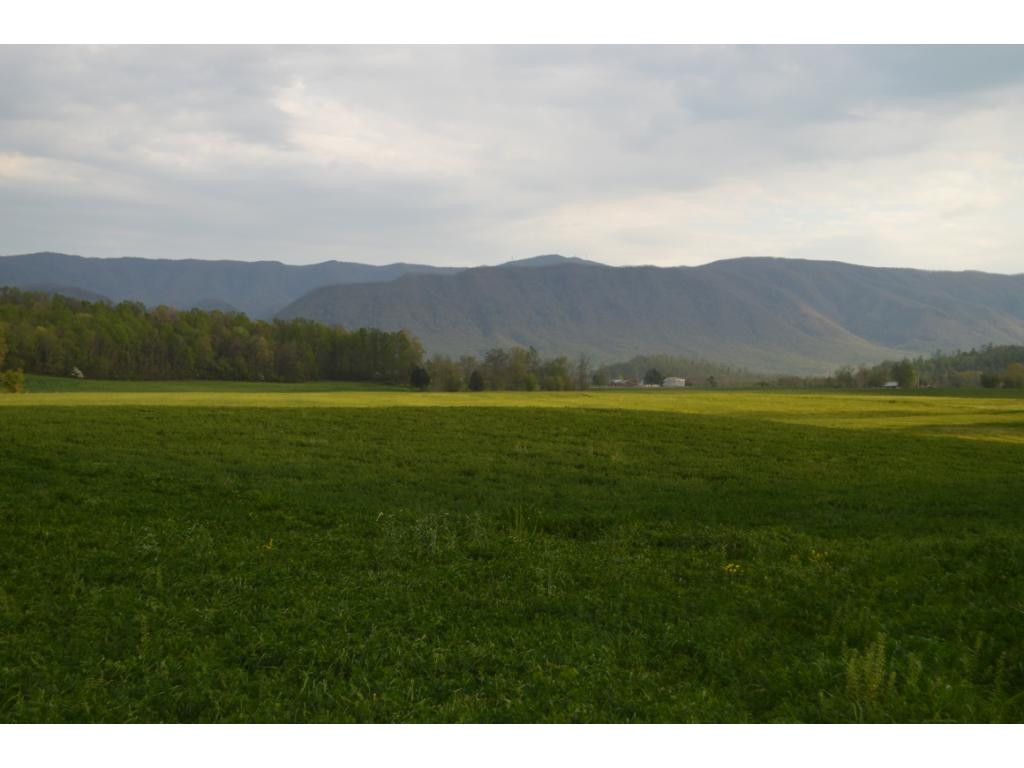 Lot #17 Sentelle Road, Unit 17 Greeneville, TN 37743 - Photo 3 of 3 Photo 3