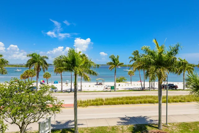a view of lake with palm trees