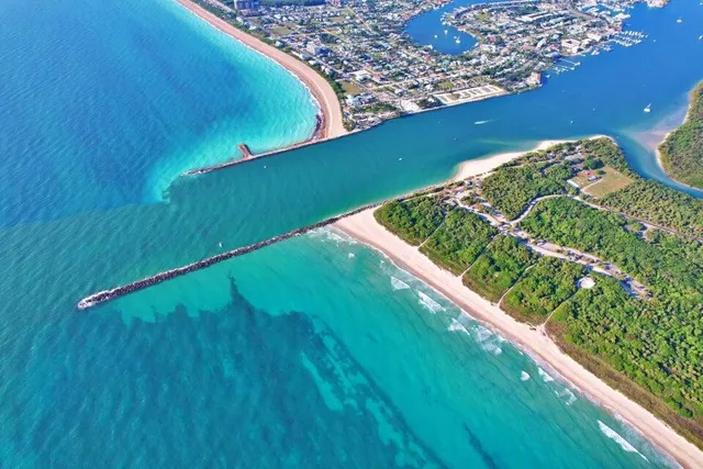 a view of a garden from a balcony