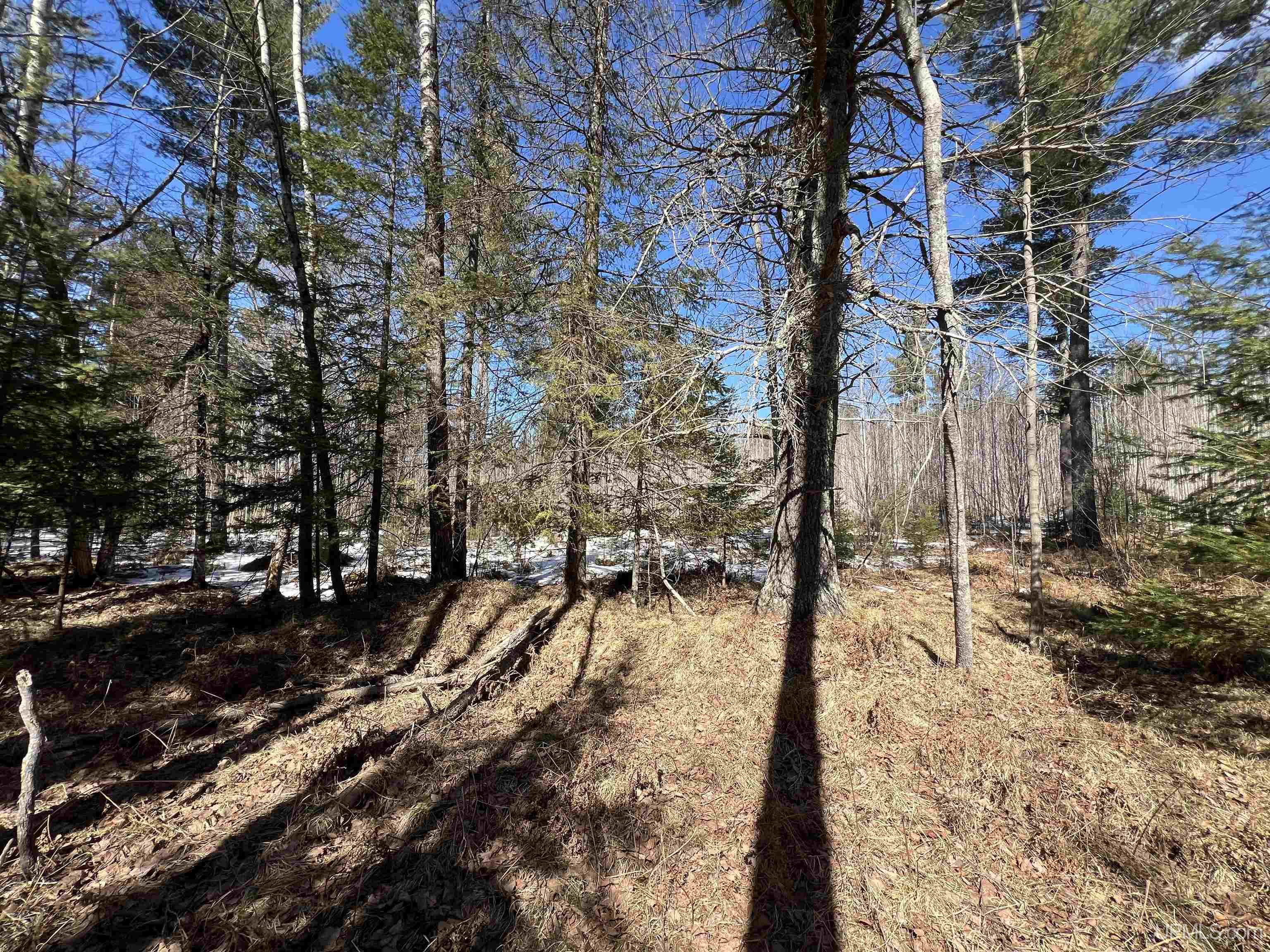 424 Rd Crystal Falls Crystal Falls, MI 49920 - Photo 5 of 5