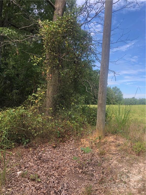 5875 Irish Potato Road Kannapolis, NC 28083 - Photo 3 of 5 a view of a yard with plants and large trees