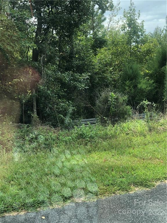 5875 Irish Potato Road Kannapolis, NC 28083 - Photo 4 of 5 a view of a lush green forest