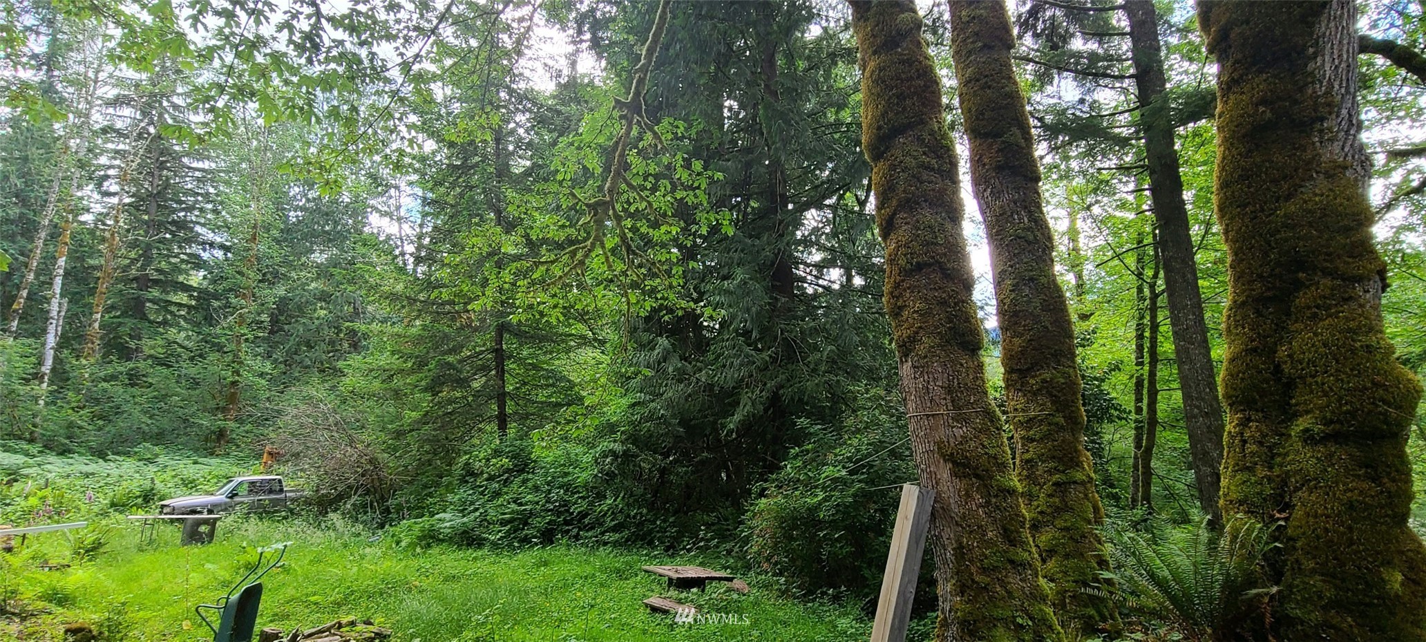 45615 Southeast Edgewick Road North Bend, WA 98045 - Photo 2 of 11 a view of a forest with a street
