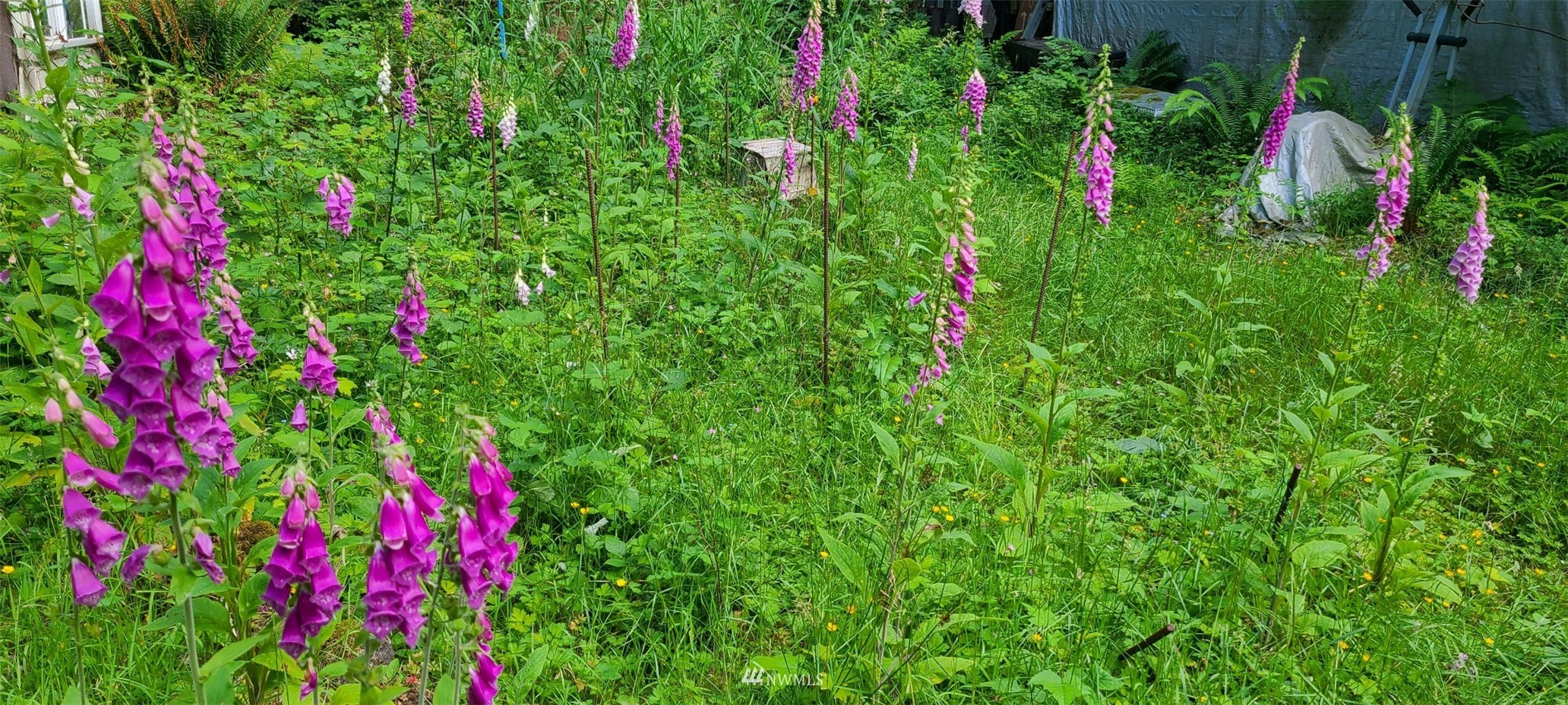 45615 Southeast Edgewick Road North Bend, WA 98045 - Photo 4 of 11 a view of a flower garden