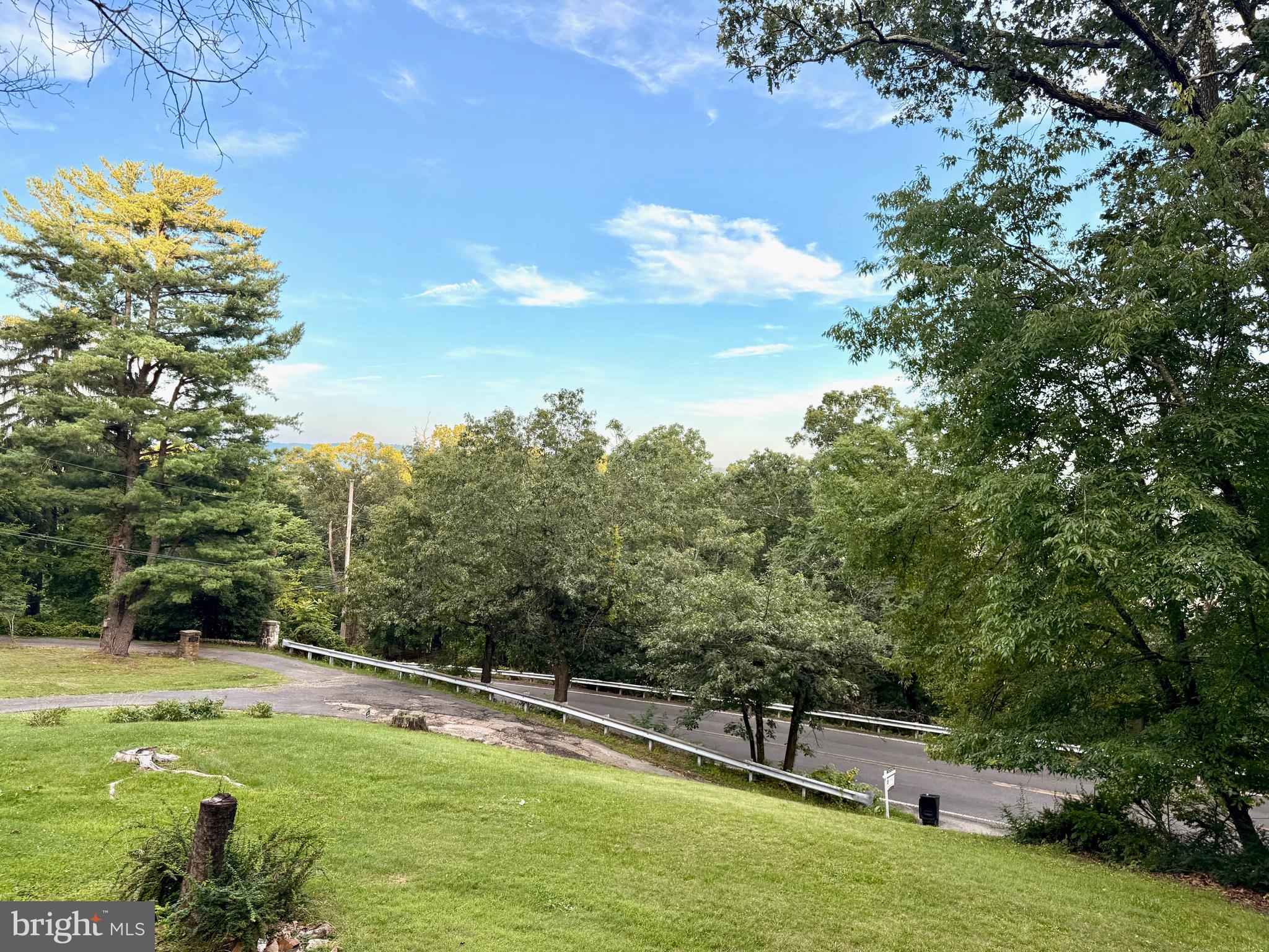1027 Braddock Road Cumberland, MD 21502 - Photo 25 of 29 a view of a swimming pool with a yard and large trees
