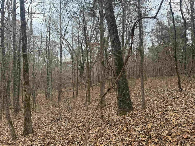a view of a covered with trees in the background