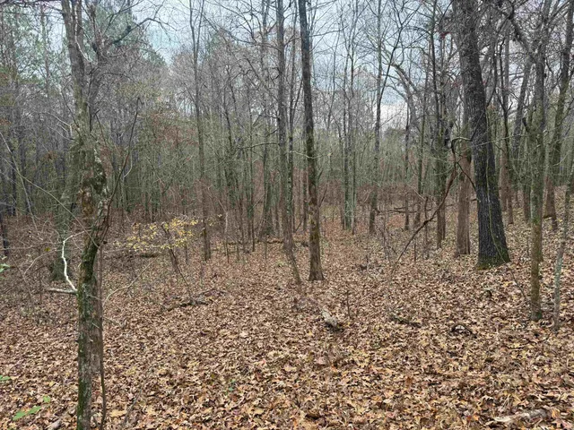 a view of backyard with wooden fence