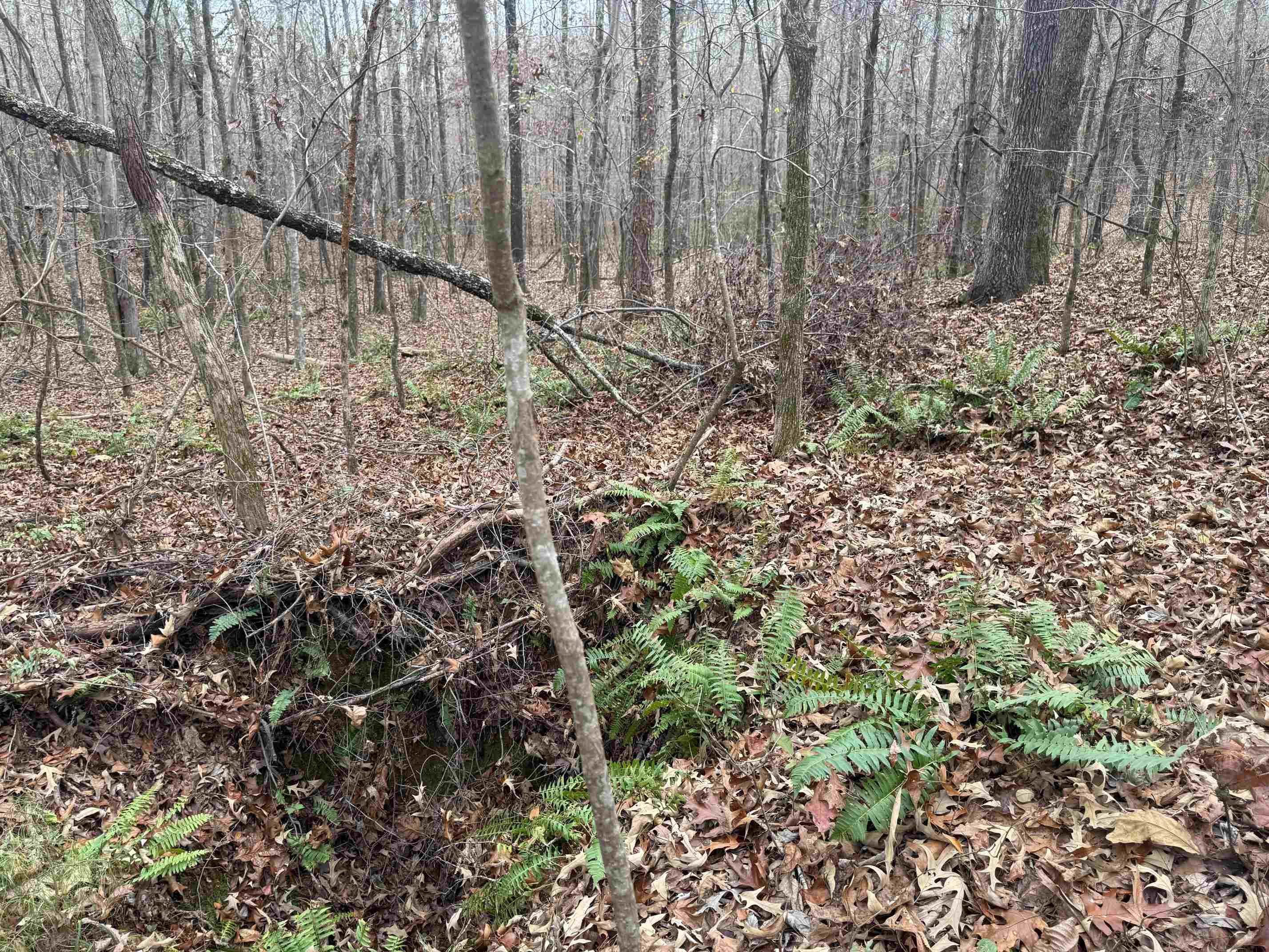 0 Tramham Road Ramer, TN 38367 - Photo 20 of 26 a view of backyard with wooden fence