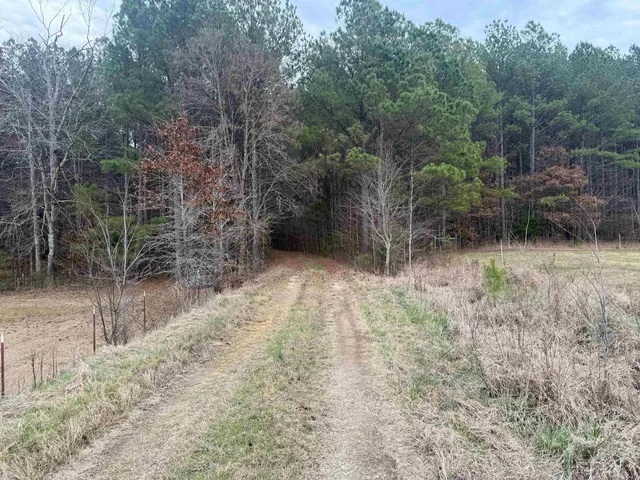 a view of a yard with trees