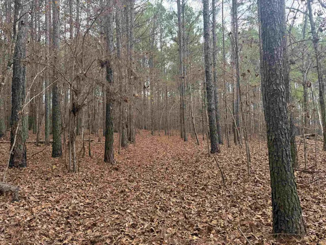 $259,900 | 0 Tramham Road, Ramer, TN 38367