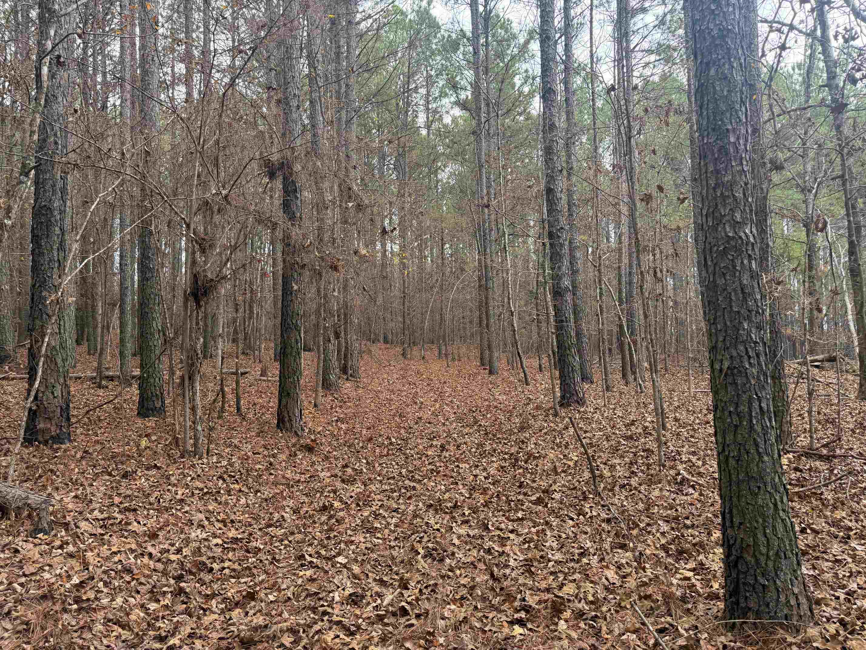 0 Tramham Road Ramer, TN 38367 - Photo 25 of 26