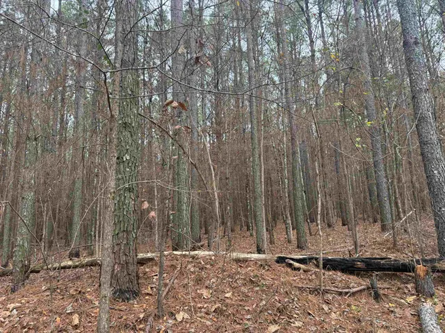 $259,900 | 0 Tramham Road, Ramer, TN 38367