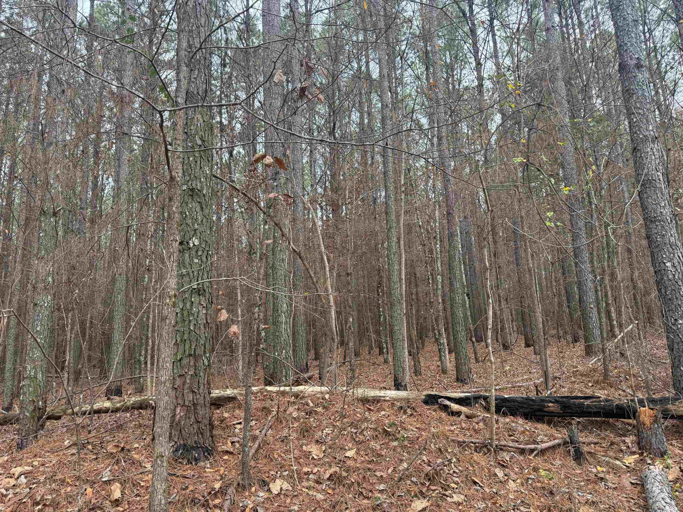0 Tramham Road Ramer, TN 38367 - Photo 26 of 26 a view of wooden fence