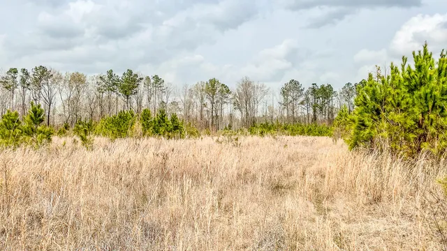 $493,200 | 0 South Locust, Denmark, SC 29042